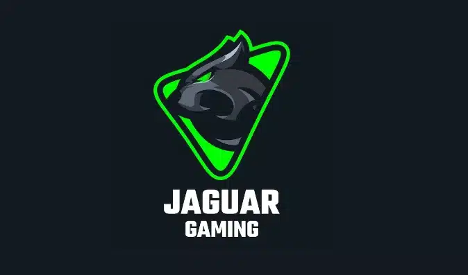 Jaguar Panel