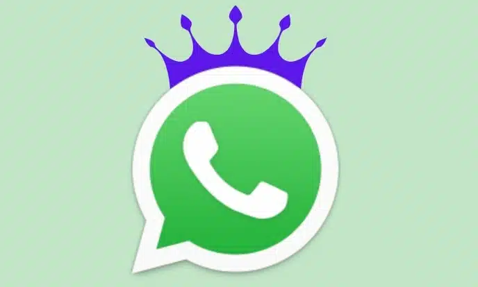 King WhatsApp