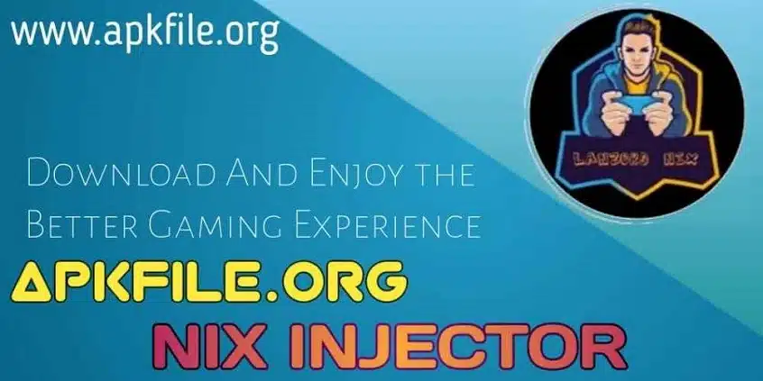 Nix Injector